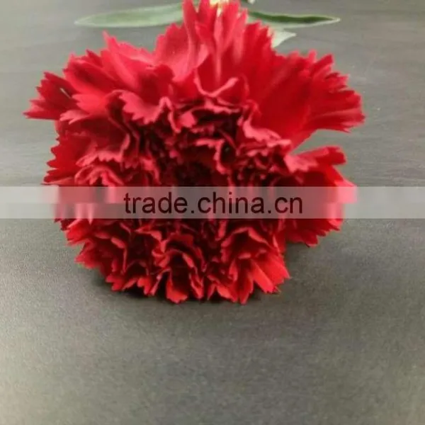 Mother's Day Gifts Fresh Carnation Flower High Quality Fresh Cut Carnation Wholesale From Yunnan photo-2
