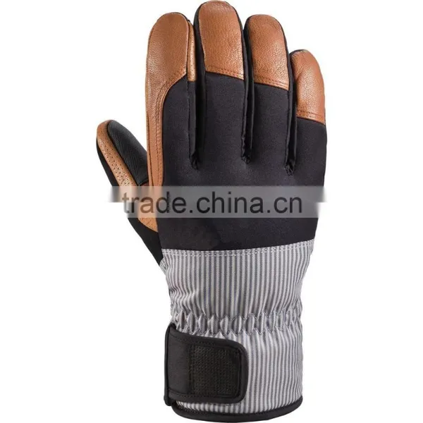 Ski Gloves