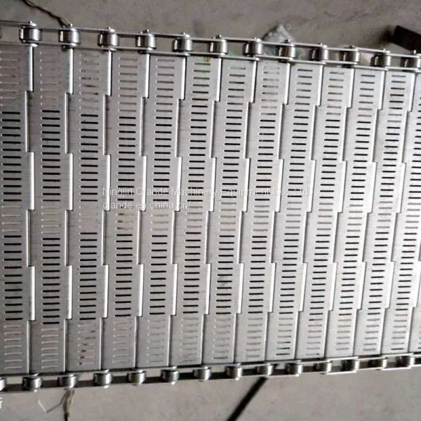 Dryer Conveyor Chain Price Affordable photo-5