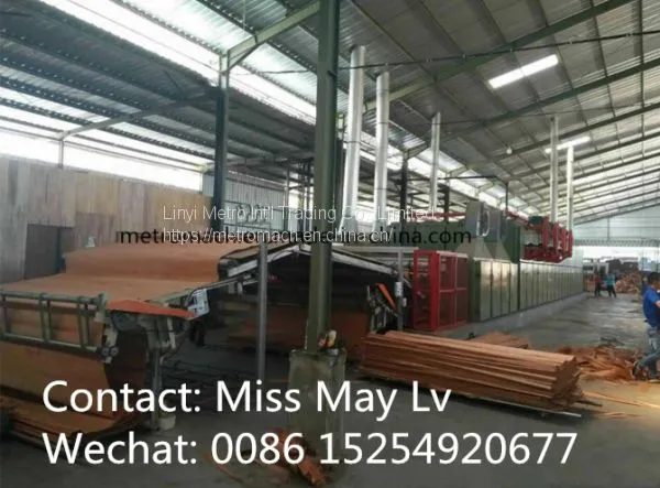 Wood Veneer Roller Conveyor Dryer Machine