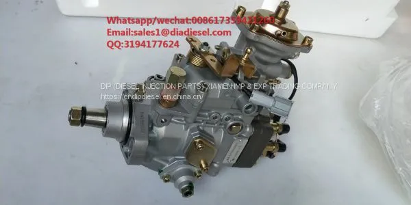 High Quality Diesel Fuel VE Pump 096000-9721 096000 9721 for Sale photo-2