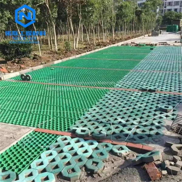 Grass Grid Paver Parking Lot photo-4