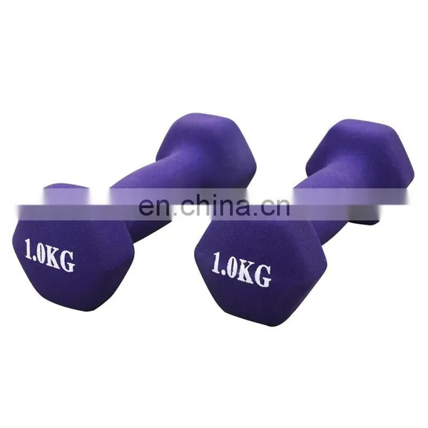 Workout Dumbbells Custom Color Plastic Coated Small Dumbbell Dip Plastic Dumbbells photo-5