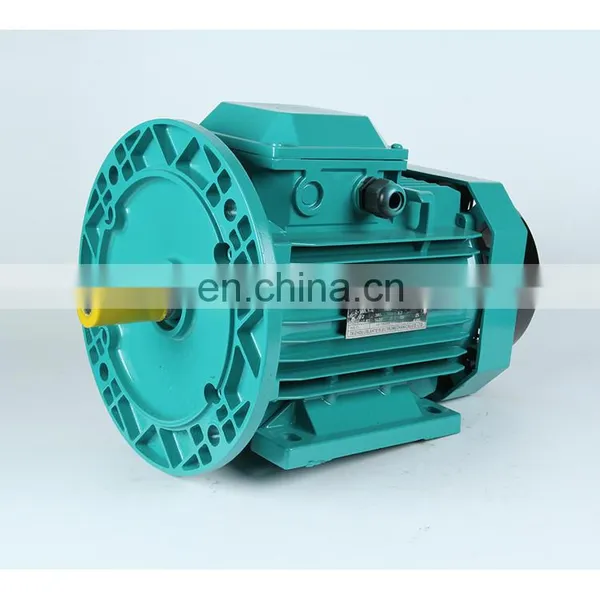 Electric Three Phase Motor 2.2kw 3000rpm China Supplier Quality Design Three Phase ac Best Motor Water Pump Ye3 Electric Motor photo-5