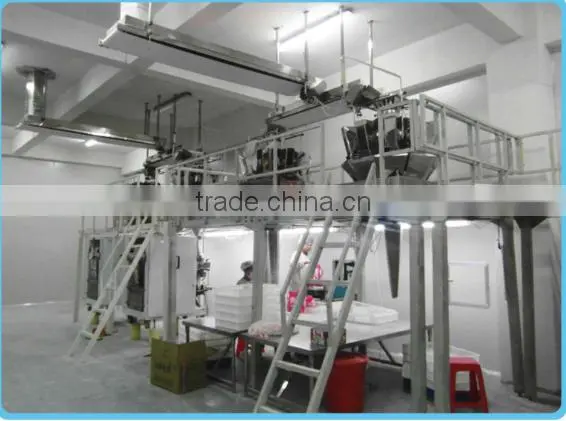 PenKan 2G Weighing and Packaging Systems on Packaging Line photo-4