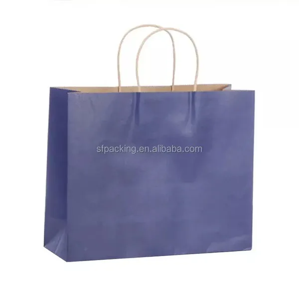 Color Printed Shopping Packaging Kraft Paper Bag for Garment photo-3