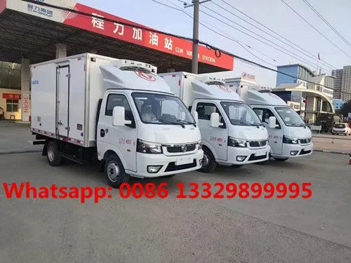 Customized Dongfeng Tuyi 4*2 LHD Petrol Engine Mini Refrigerated Van Truck for Sale 0.5T-1T photo-4