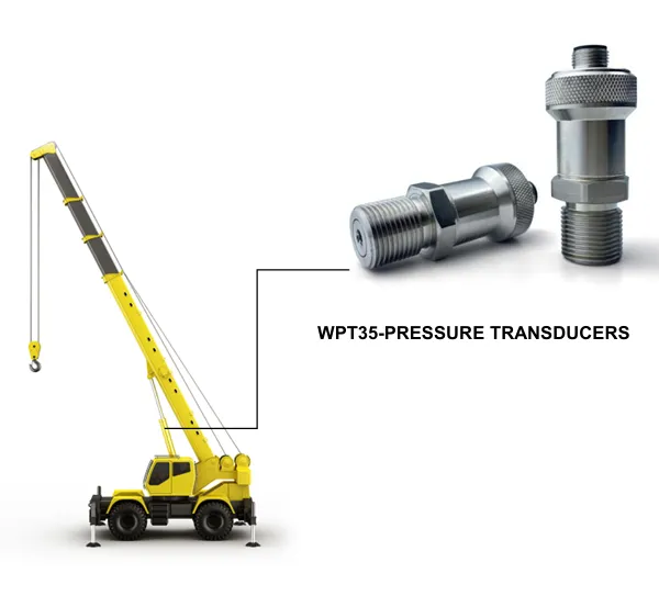 Supply of Utility All-road Crane Load Limiter photo-3