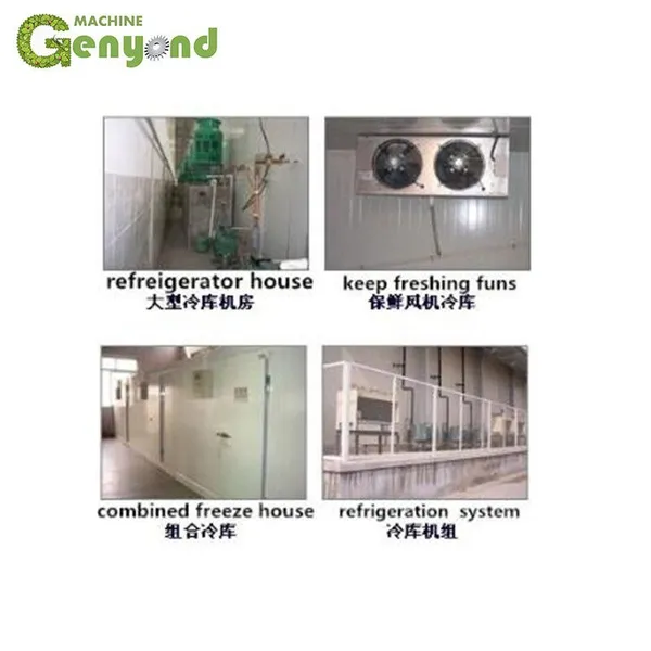 Apple/banana/orange/lemon Cold Storage,Cold Storage Room for Sale photo-2
