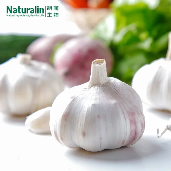 Garlic Extract photo-5