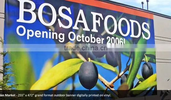 Custom Size Design PVC Vinyl Flex Polyester Fabric Printed Advertising Large Format Banner photo-3