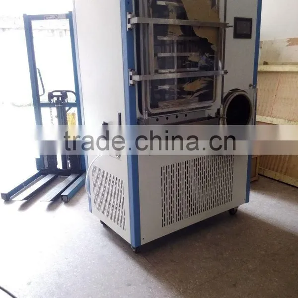Cordyceps Sinensis Freeze Dryer photo-3