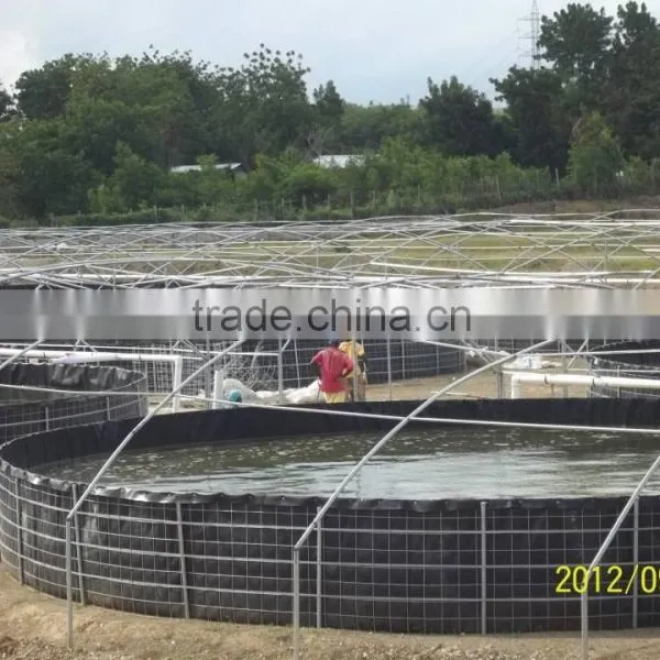 HDPE Tilapia Fish Farming Tanks for Sale