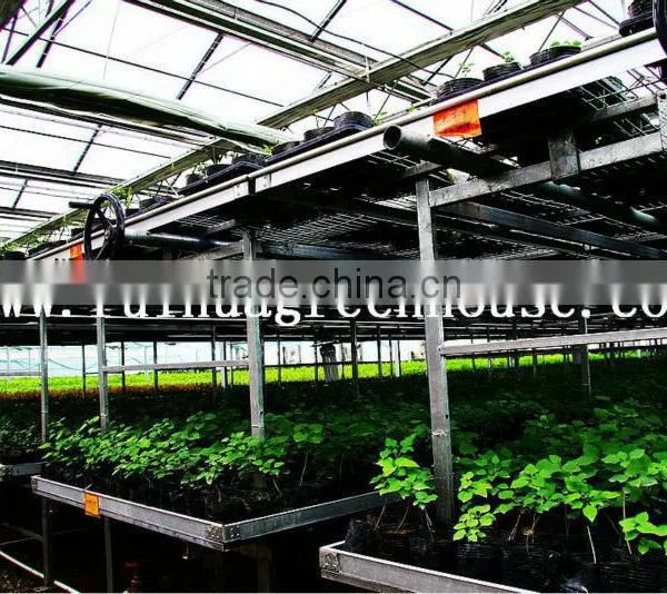 Commercial -Agricultural Polycarbonate Greenhouse photo-6