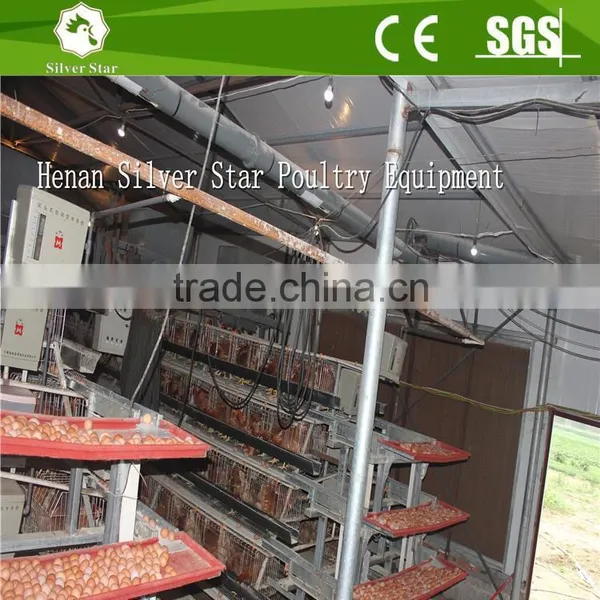 Silver Star Patent Egg Collection Equipments Useful For Layer Sheds Cages System photo-3