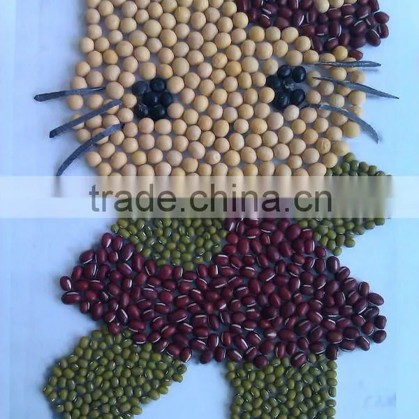Soybean/soya Bean, Soybean Seeds, Soya Bean Seeds( New Crop, Heilongjiang Origin)