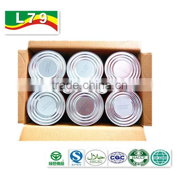 2200G China Factory Hot Sell Nature Canned Tomato Paste photo-4