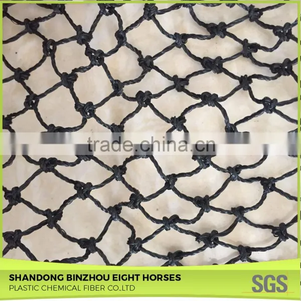 2*2 cm PP Knotless Bird Proof Net/green Color Anti Bird Protection Netting for Vegetables photo-4