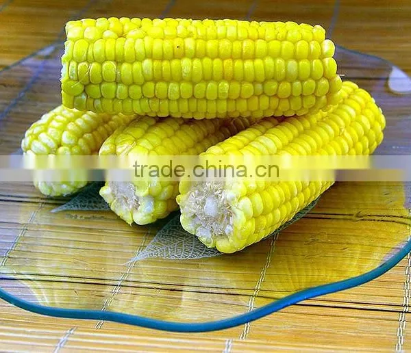 High-quality Frozen Sweet Corn by Pro of Safe and Healthy Food photo-2