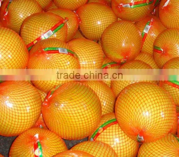 Fresh Sweet Pomelos photo-5