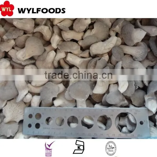 New Crop Frozen Baby Oyster Mushroom 2015 Good Quality Best Prices From China photo-3