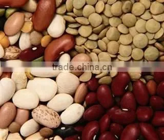 BEANS FLAVOR