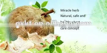 1000g Breast Enhencement Tea Thailand Pueraria Mirifica Tea Improve Menstrual Discomfort photo-2