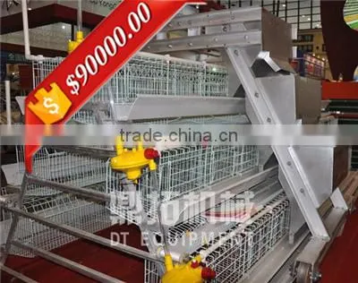 Design Automatic Equipment A Type Hot Galvanized Automatic Design Chicken Cage for Broilers and Baby Chicks