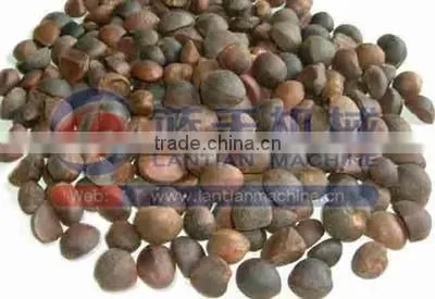 Middle and Small Size Energy Saving Spiral Oil Press Machine for Camellia Oleifera Seed photo-4