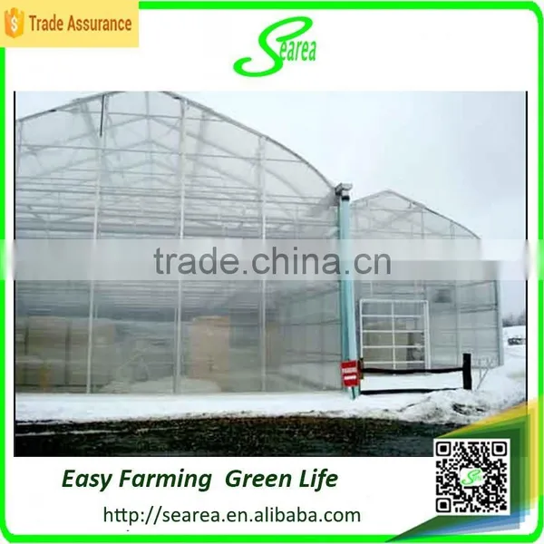 Hot Sale Glass Greenhouse Shade Green House Design photo-2