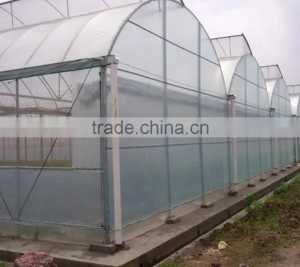 Vegetable Greenhouses for Sale 200 Micron Greenhouse Film/vegetable Seeds Greenhouse photo-4