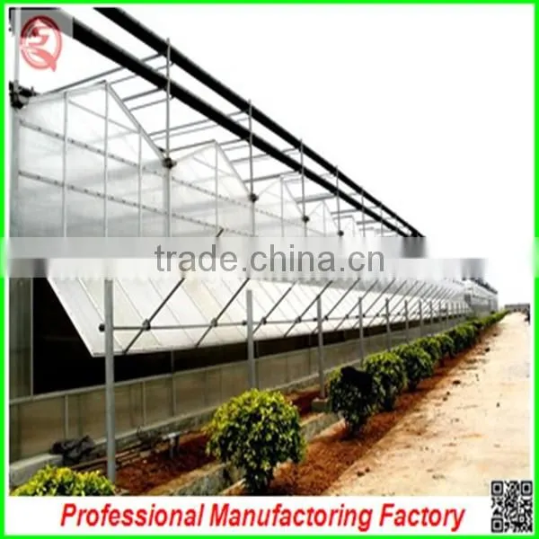 Large Muti-span Hydroponical Polycarbonate Sheet Greenhouses From China Manufacturer photo-5