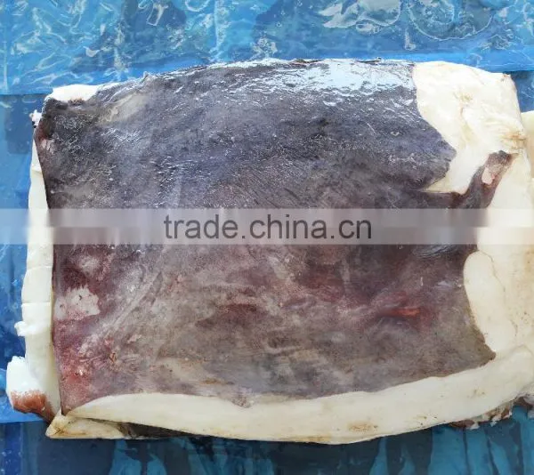 Frozen Seafood Peru Giant Squid Meat/Wing Squid Fillet