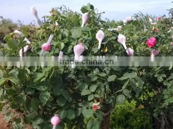 Thailand Hot Product Rose Flower Packaging Wrap Netting photo-5