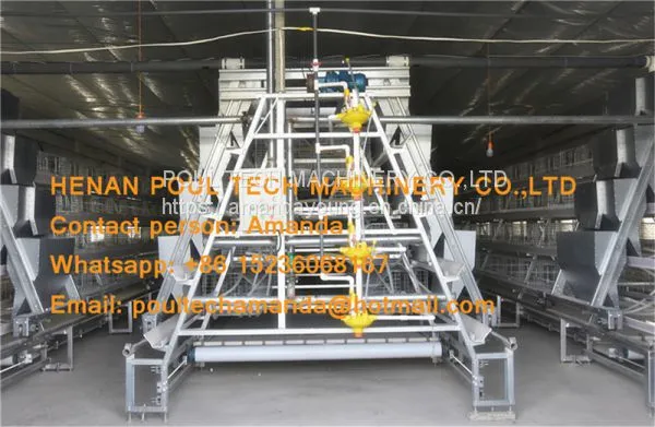 Cameroon Poultry Farm A Frame Automatic Small Chicken Cage & Pullet Coop With Nipple Drinker & Drop Cup in Chicken Shed photo-4