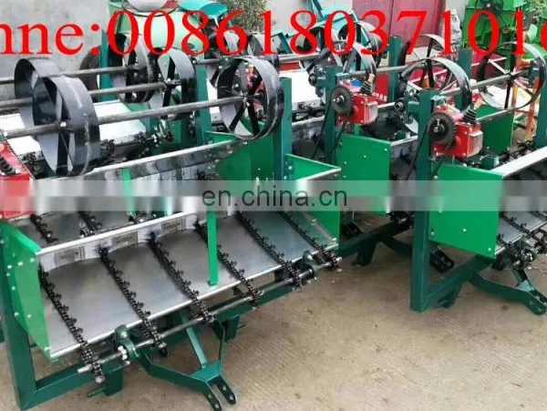Hot Selling 6 Row Garlic Planter/tractor Driven Garlic Seeder With Wholesale Price photo-4