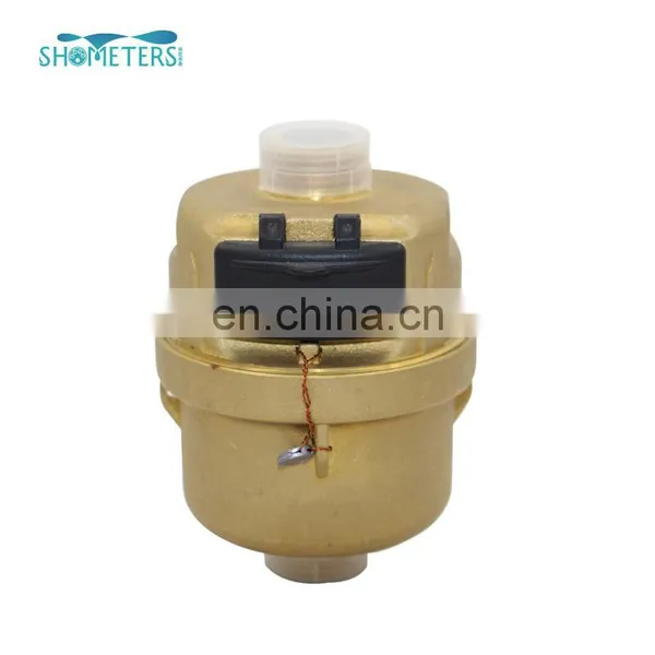 DN20 Volumetric Rotary Piston Water Meter Used in County Public Clean Water Supply photo-2
