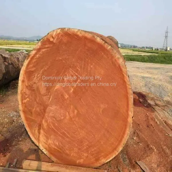 IROKO WOOD PADOUK, SAWN TIMBER WENGE, DOUSSIE, SAPELLI, AZOBE, ZEBRANO ROUND LOGS AVAILABLE FOR EXPORT photo-2