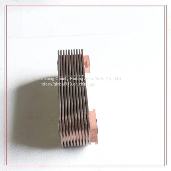 Oil Cooler 51056010161 51056010179 51056010148 51056010107 5000678882 for Man photo-3