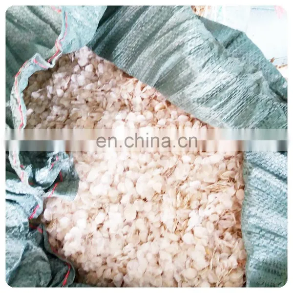 Collagen Gelatin Original Color AD BQF Whole Part Dried Fish Scale For Skin Moisturizers And Cleansing Gels