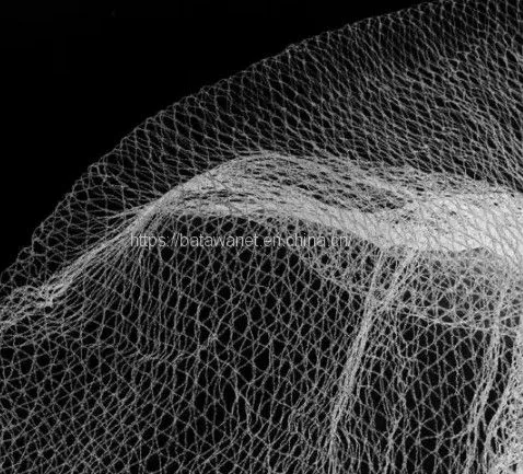 Knitted 30gsm New Material HDPE Diamond Bird Netting for Agriculture photo-5