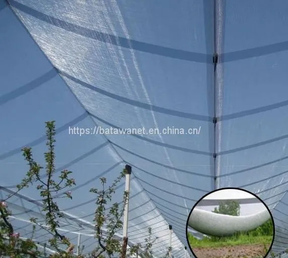 HDPE Agriculture Apple Tree Anti Hail Net for Plantations photo-3