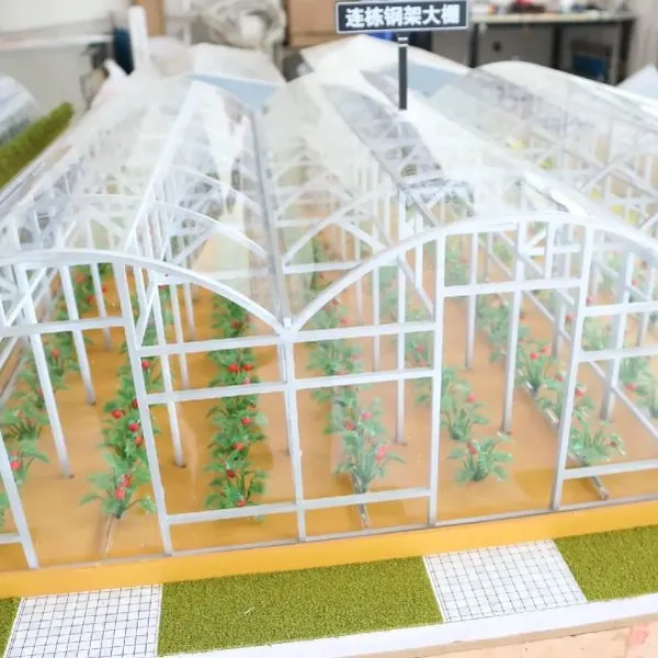 Agricultural Greenhouse Sand Table Model Making Factory photo-4
