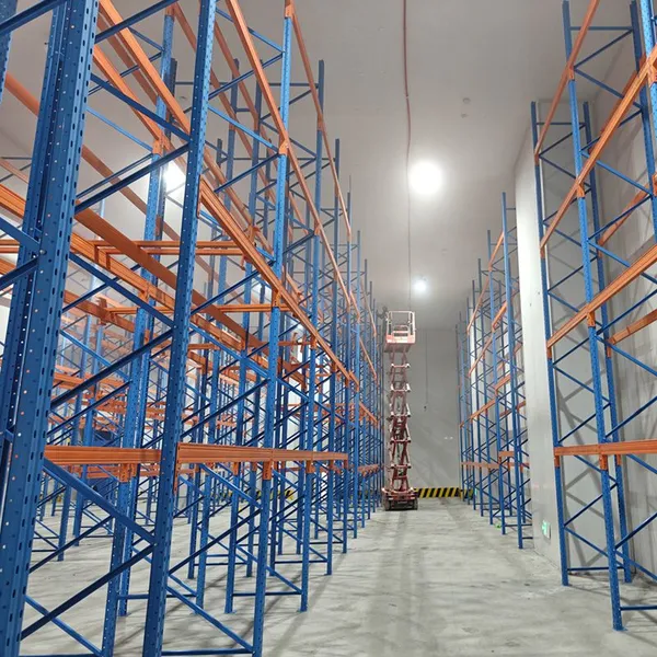Corrosion-Resistant Cold Storage Racks for Marine Product Processing Plants photo-5