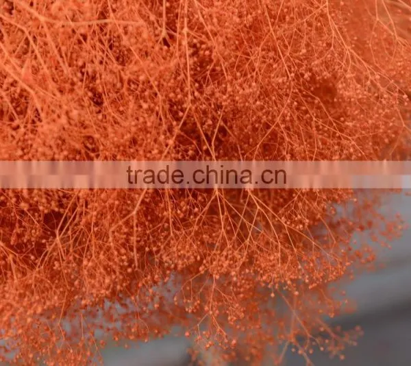 2016 Cheap Artificia Natural Dry Flower photo-2