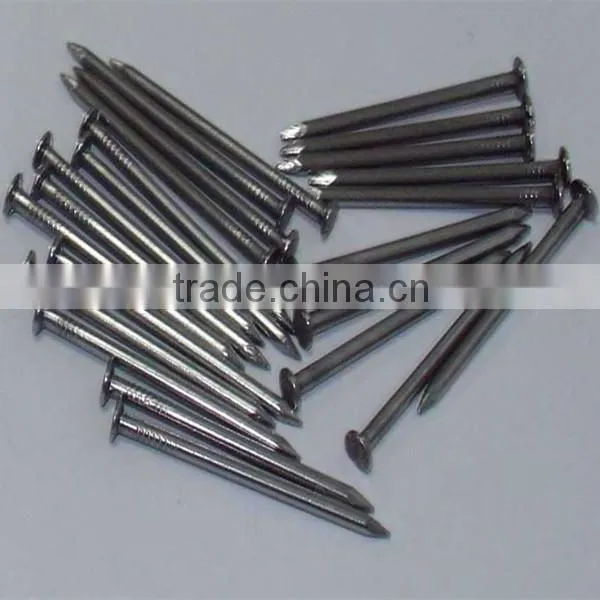 Common Wire Nail for Dubai Market photo-3