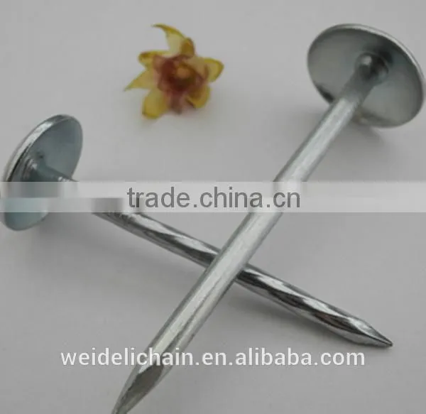 China Umbrella Roofing Nails With Twist Shank or Plain Shank photo-4