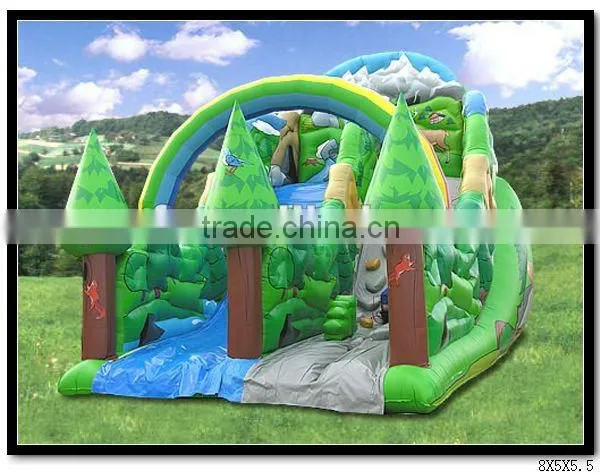 Inflatable Slide