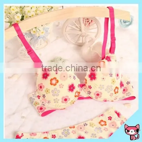Cut Flower Printing Seamless Push Up Bra