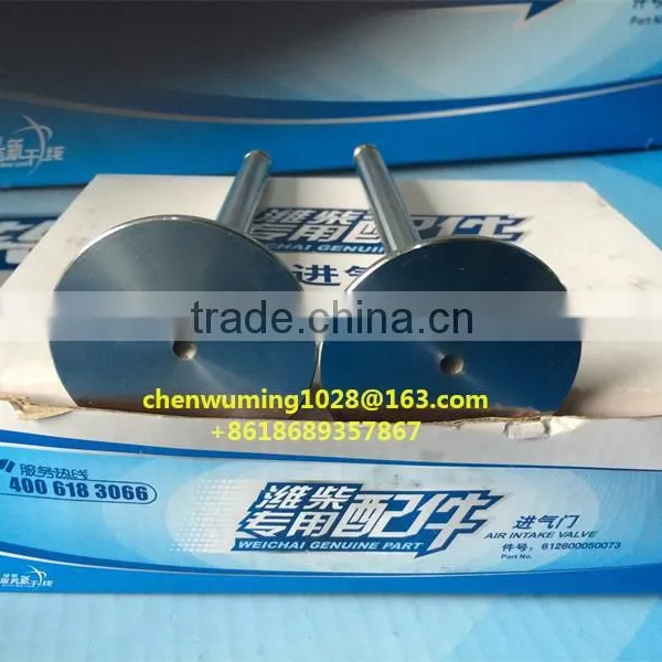 WEICHAI WD615/618 Intake Valve 612600050073 photo-3